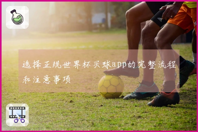 选择正规世界杯买球app的完整流程和注意事项