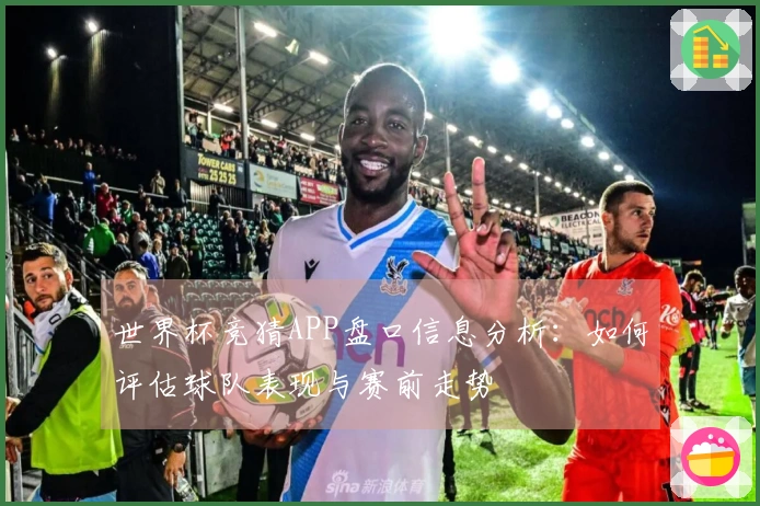 世界杯竞猜APP盘口信息分析：如何评估球队表现与赛前走势