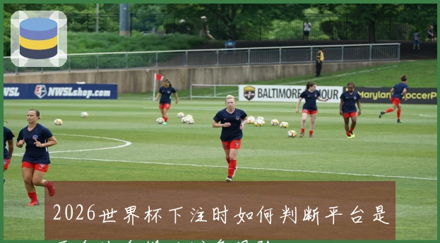 2026世界杯下注时如何判断平台是否合法合规以避免风险