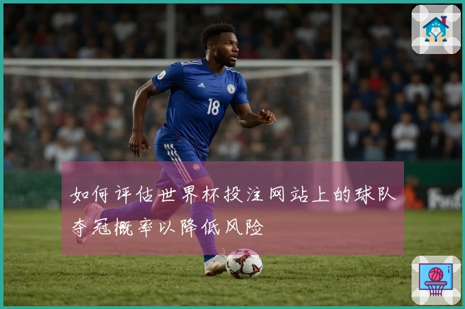 如何评估世界杯投注网站上的球队夺冠概率以降低风险