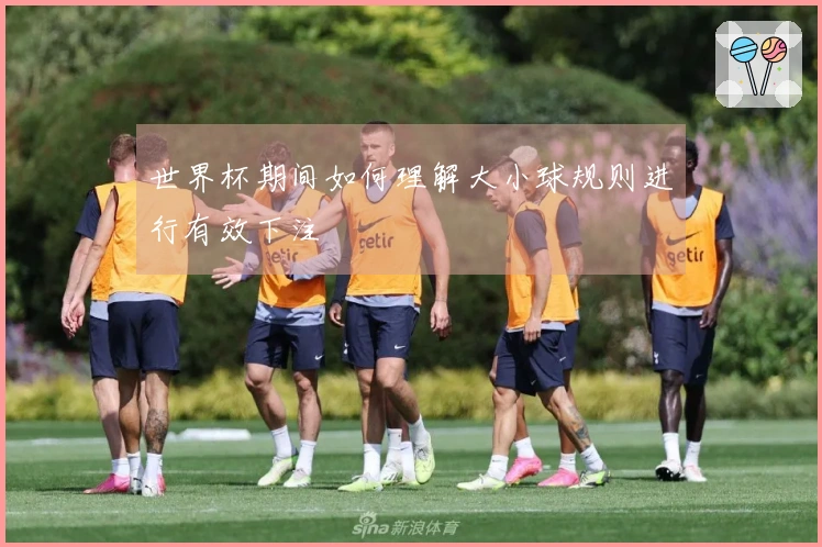 世界杯期间如何理解大小球规则进行有效下注