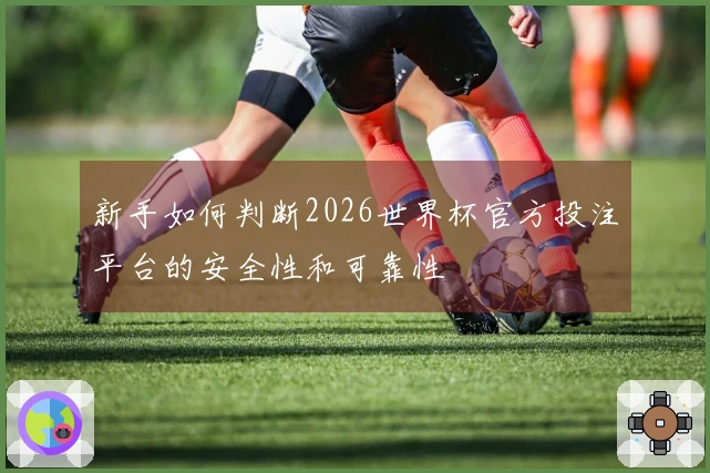 新手如何判断2026世界杯官方投注平台的安全性和可靠性
