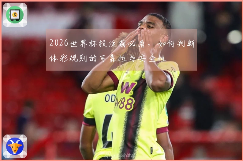 2026世界杯投注前必看，如何判断体彩规则的可靠性与安全性