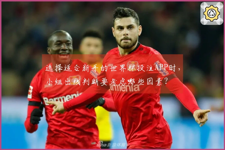 选择适合新手的世界杯投注APP时，小组出线判断要考虑哪些因素？