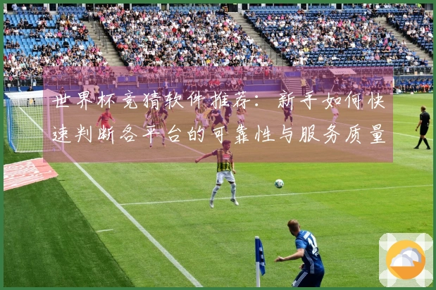 世界杯竞猜软件推荐：新手如何快速判断各平台的可靠性与服务质量