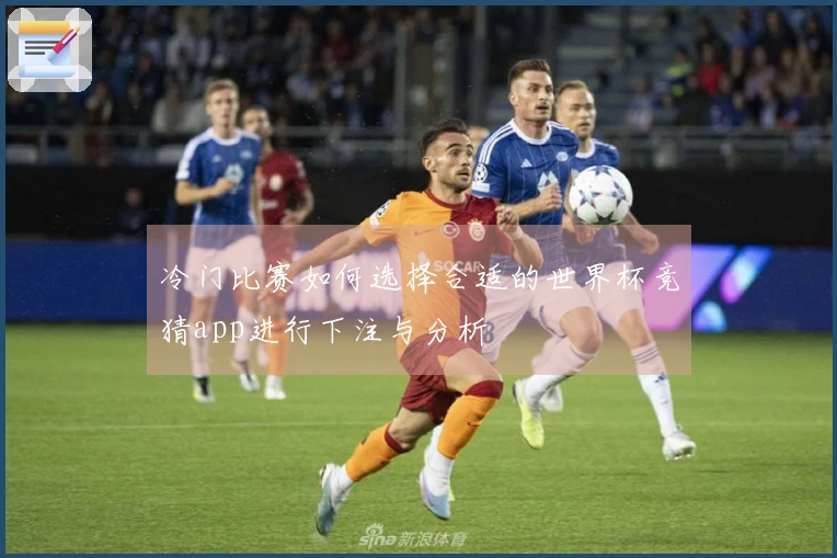 冷门比赛如何选择合适的世界杯竞猜app进行下注与分析