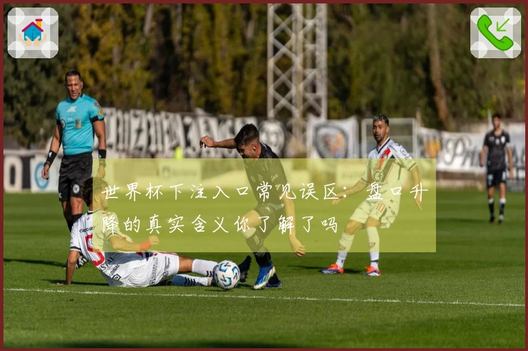 世界杯下注入口常见误区：盘口升降的真实含义你了解了吗
