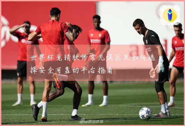 世界杯竞猜软件常见误区及如何选择安全可靠的平台指南