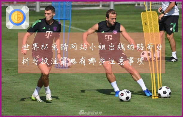 世界杯竞猜网站小组出线的赔率分析与投注策略有哪些注意事项