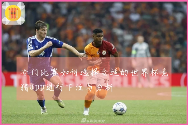 冷门比赛如何选择合适的世界杯竞猜app进行下注与分析