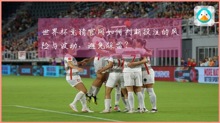 世界杯竞猜官网如何判断投注的风险与波动，避免踩雷？