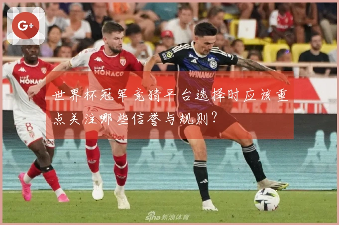 世界杯冠军竞猜平台选择时应该重点关注哪些信誉与规则？