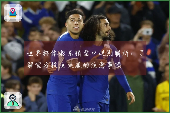 世界杯体彩竞猜盘口规则解析，了解官方投注渠道的注意事项
