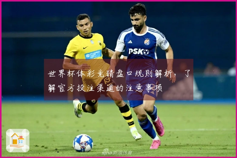 世界杯体彩竞猜盘口规则解析，了解官方投注渠道的注意事项