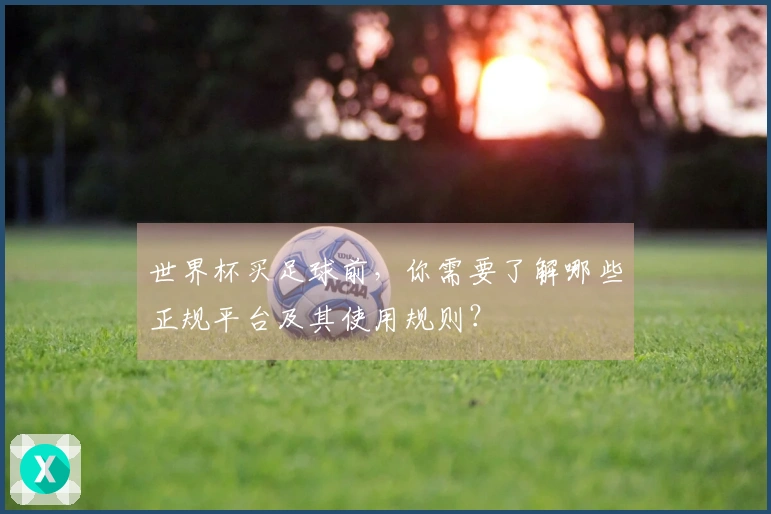 世界杯买足球前，你需要了解哪些正规平台及其使用规则？