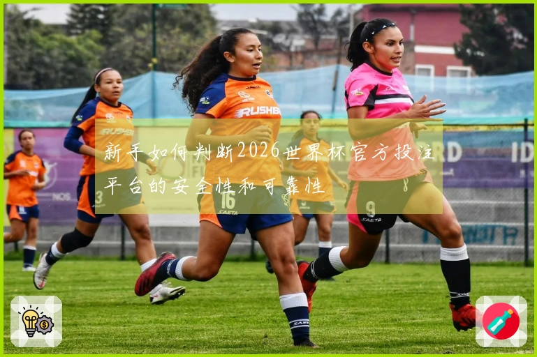 新手如何判断2026世界杯官方投注平台的安全性和可靠性