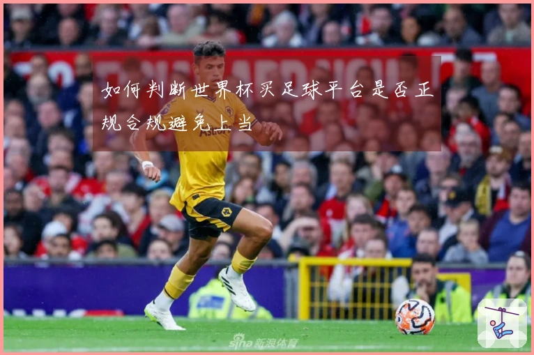如何判断世界杯买足球平台是否正规合规避免上当