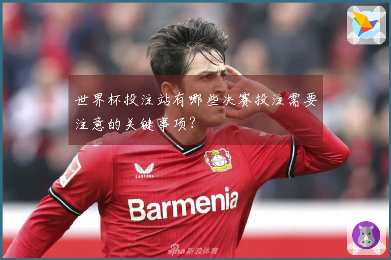 世界杯投注站有哪些决赛投注需要注意的关键事项？
