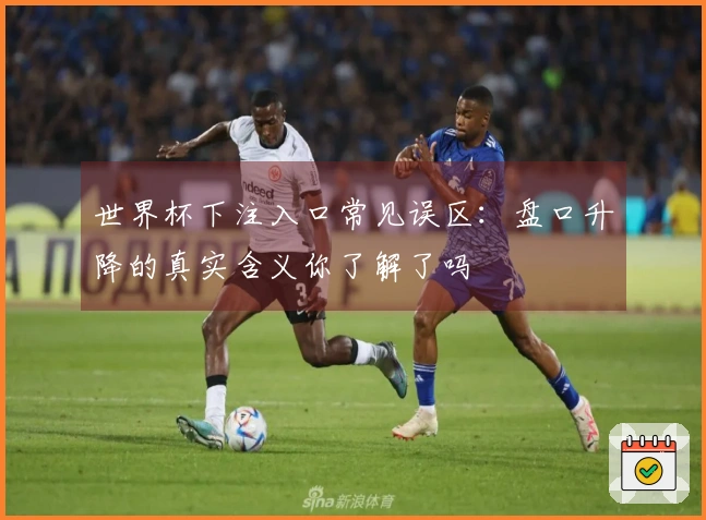 世界杯下注入口常见误区：盘口升降的真实含义你了解了吗