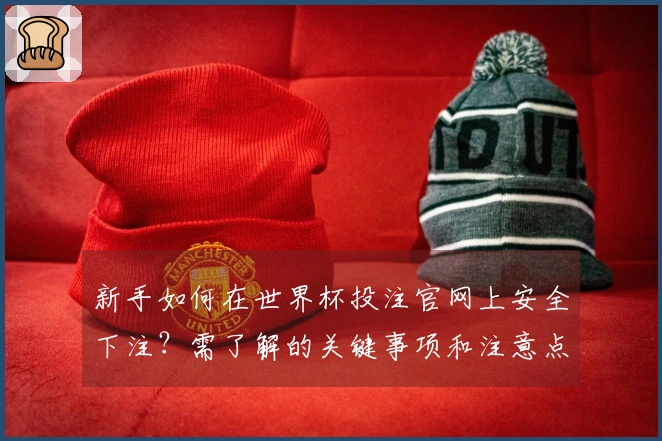 新手如何在世界杯投注官网上安全下注？需了解的关键事项和注意点