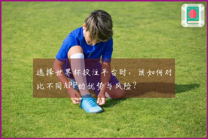 选择世界杯投注平台时，该如何对比不同APP的优势与风险？