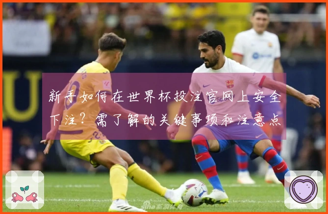 新手如何在世界杯投注官网上安全下注？需了解的关键事项和注意点