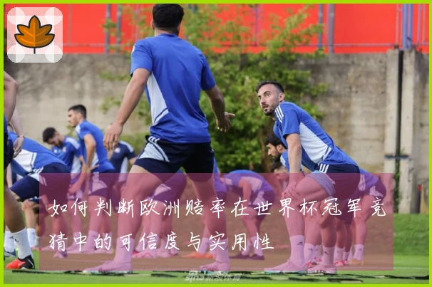 如何判断欧洲赔率在世界杯冠军竞猜中的可信度与实用性