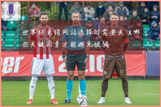 世界杯竞猜网站选择时需要关注哪些关键因素才能避免被骗