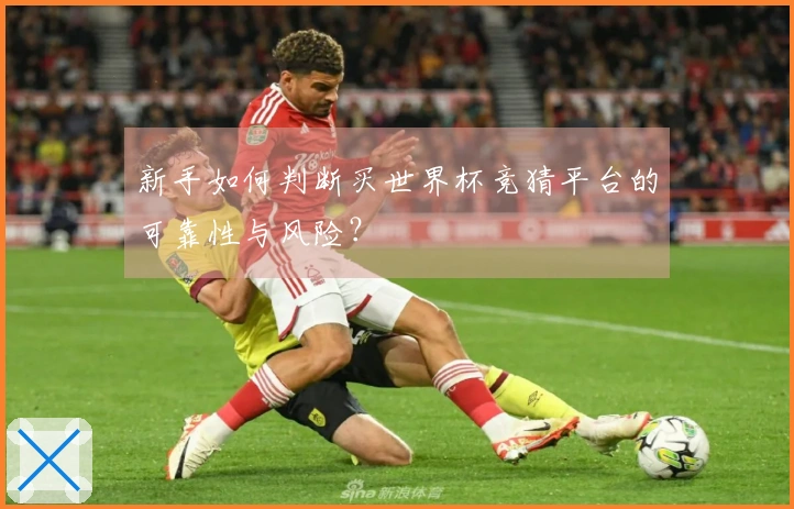 新手如何判断买世界杯竞猜平台的可靠性与风险？