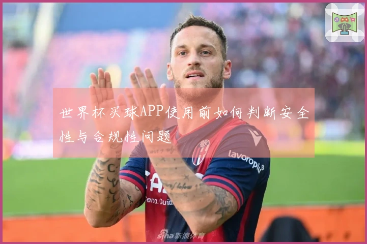 世界杯买球APP使用前如何判断安全性与合规性问题