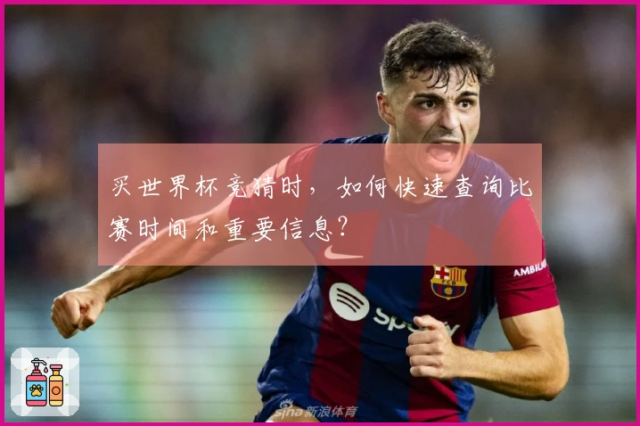 买世界杯竞猜时，如何快速查询比赛时间和重要信息？