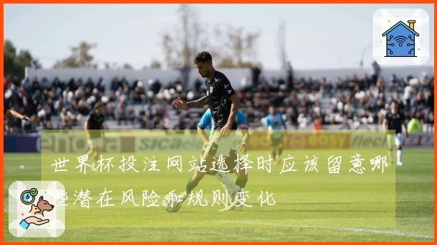世界杯投注网站选择时应该留意哪些潜在风险和规则变化