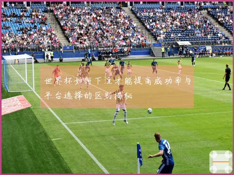 世界杯如何下注才能提高成功率与平台选择的区别揭秘