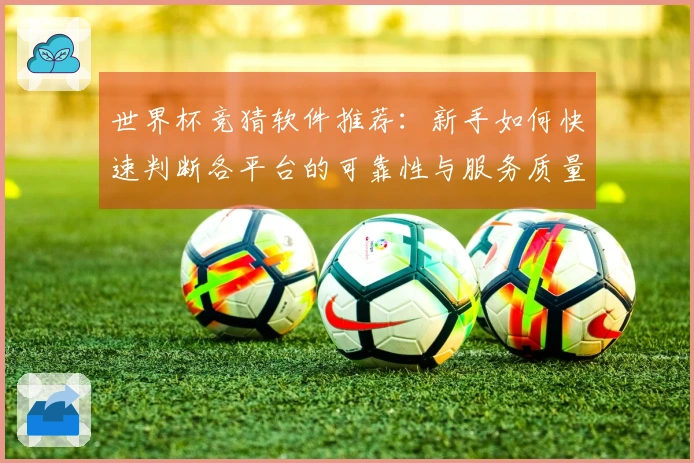 世界杯竞猜软件推荐：新手如何快速判断各平台的可靠性与服务质量