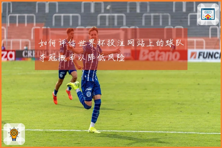 如何评估世界杯投注网站上的球队夺冠概率以降低风险