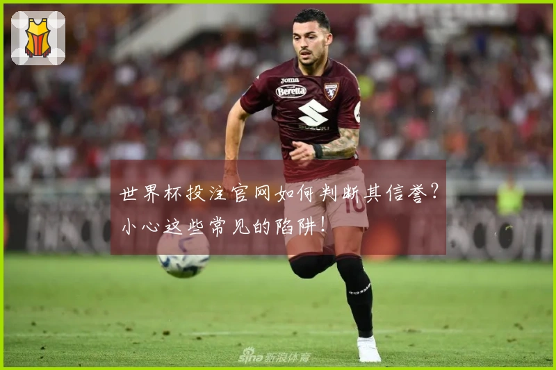 世界杯投注官网如何判断其信誉？小心这些常见的陷阱！